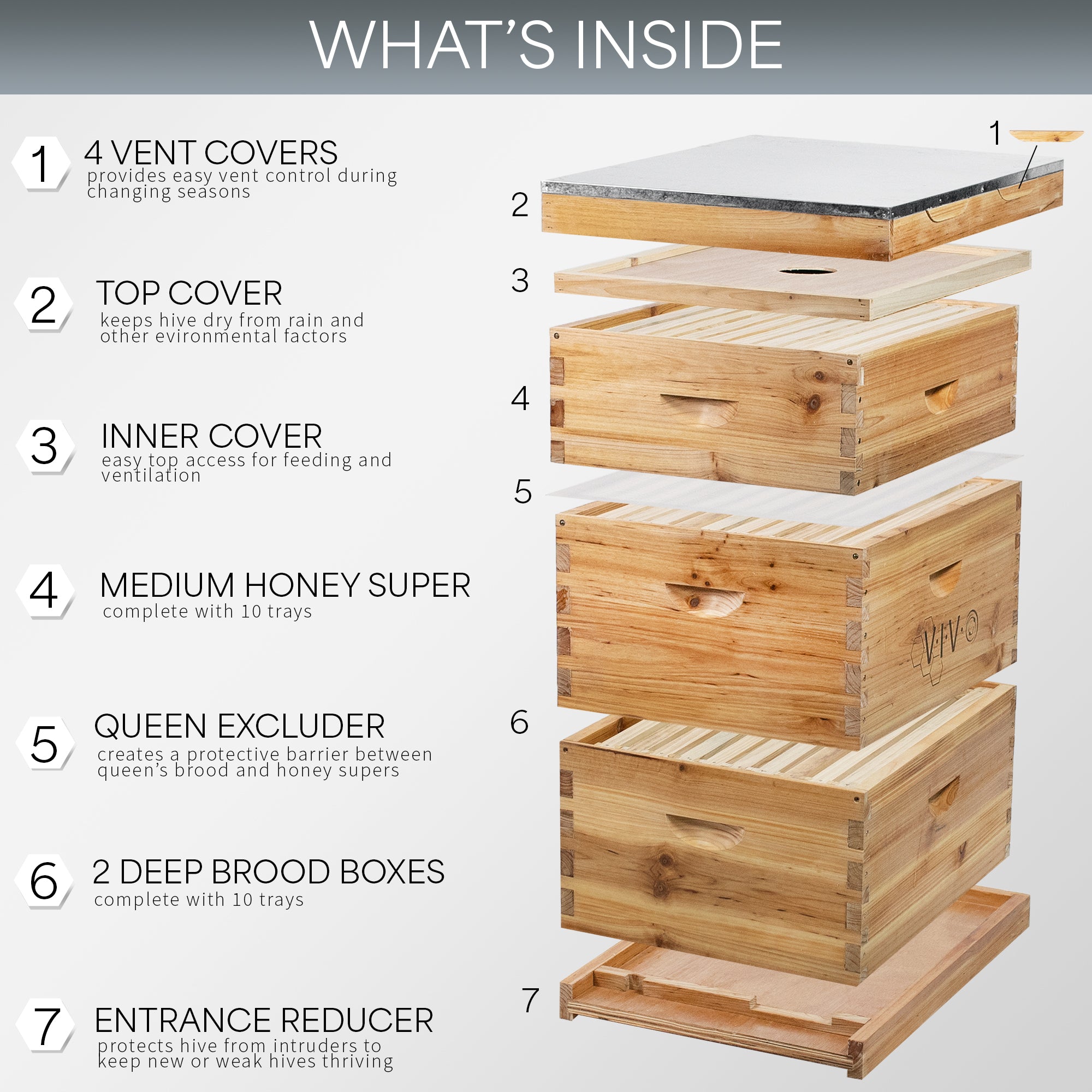 30 Frame Premium Beeswax Coated Langstroth Beehive Kit - Durable Beekeeping Supplies for Honey Production & Pollination | Perfect for Backyard Beekeepers & Commercial Apiaries