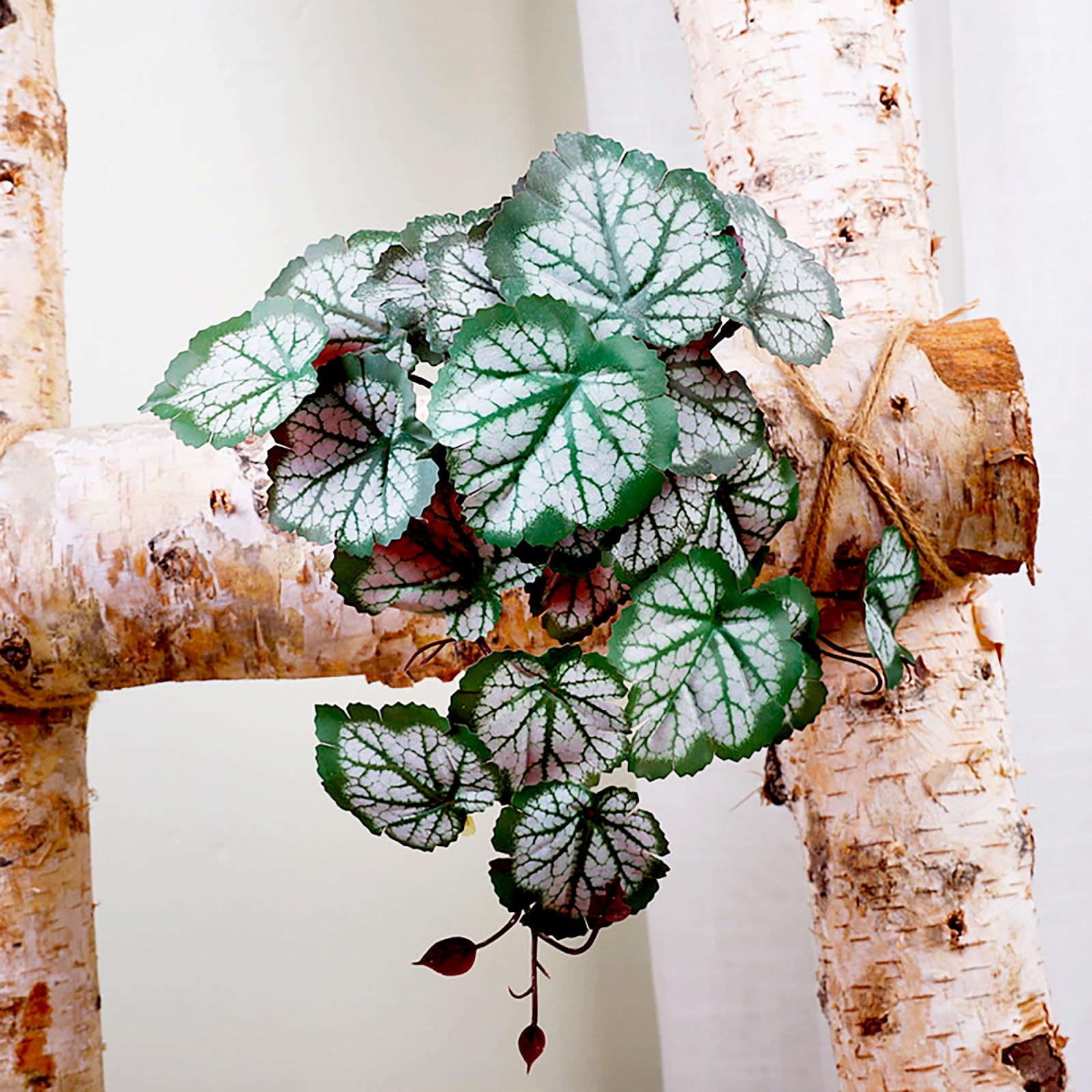 Woyrise Reptile Plants - 2 Pack Green Heuchera Terrarium Hanging Vines with Suction Cups for Bearded Dragon, Lizard, Snake, Gecko, Frog & Hermit Crab - Natural Amphibian Habitat Decor for Reptile Tanks - Perfect for Jungle Themed Enclosures & Bioactive Vivariums
