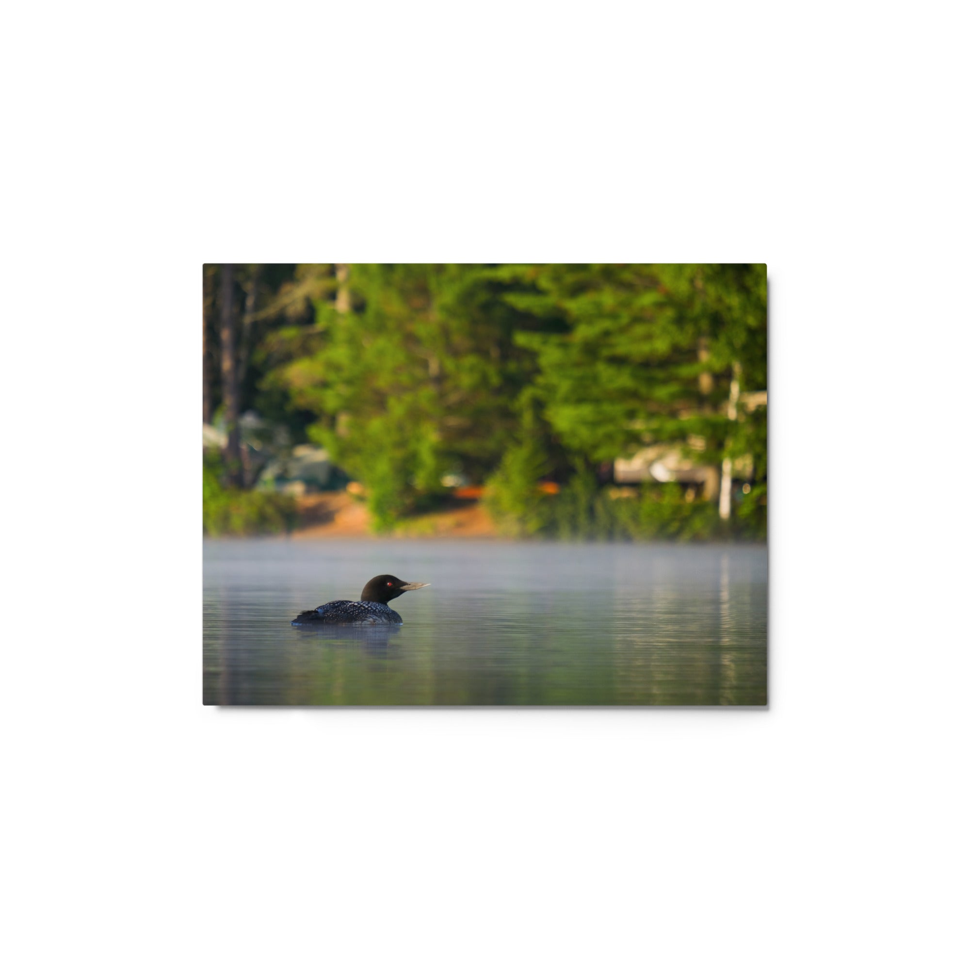 Adirondack Loon Metal Print - Premium Wall Art Decor for Home, Office & Cabin - Perfect for Nature Lovers & Rustic Interiors