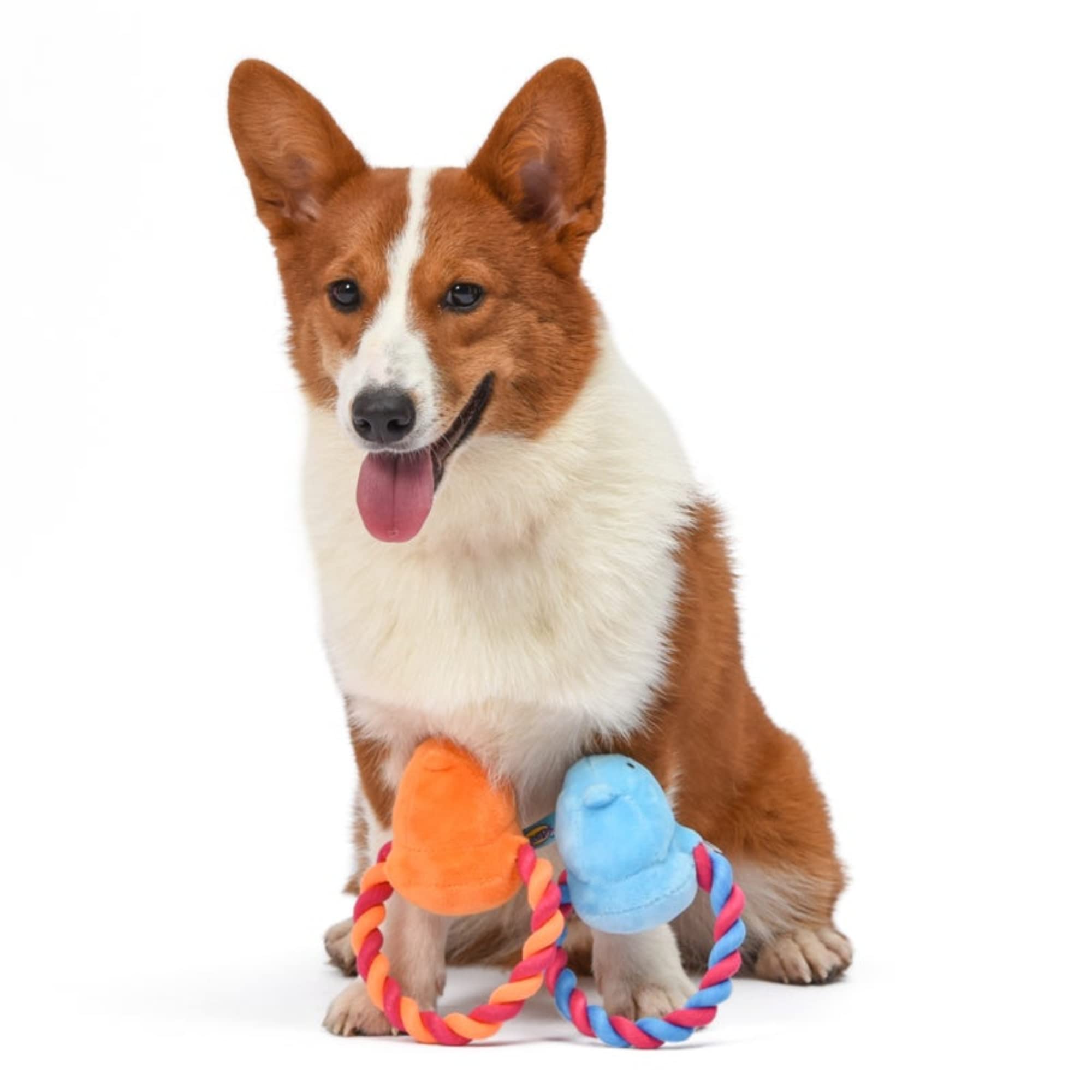 Peeps Squeaky Rope Dog Toys for Small & Medium Dogs - Blue Chick Design, Durable Chew Toy for Puppies & Adult Dogs - Perfect for Fetch, Tug of War & Interactive Playtime