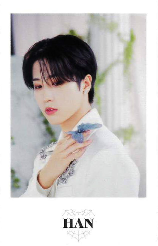 STRAY KIDS 2ND WORLD TOUR MANIAC ENCORE in JAPAN Official Photocard Set - K-Pop Merchandise for Collectors & Fans - Perfect for Display, Albums, and Fan Meetings