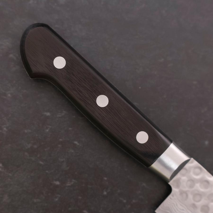 Premium VG-10 Steel Sujihiki Knife - 245mm Tsuchime Damascus Blade with Black Western Handle - Perfect for Sushi, Sashimi & Meat Slicing