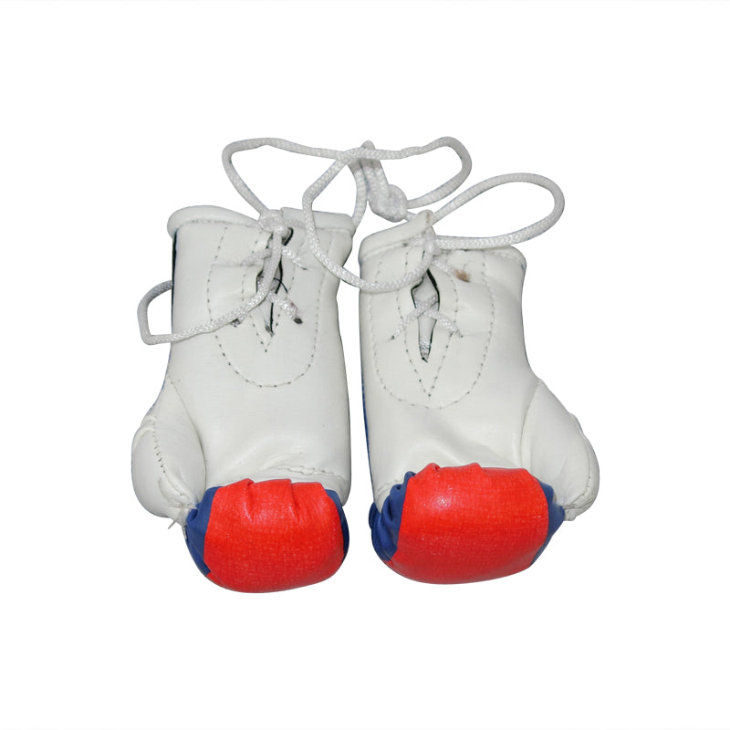AXS Mini Boxing Gloves for Kids & Adults - Premium Training Gloves for Punching Bag, MMA, Muay Thai & Fitness - Perfect for Home Gym, Boxing Classes & Martial Arts Practice