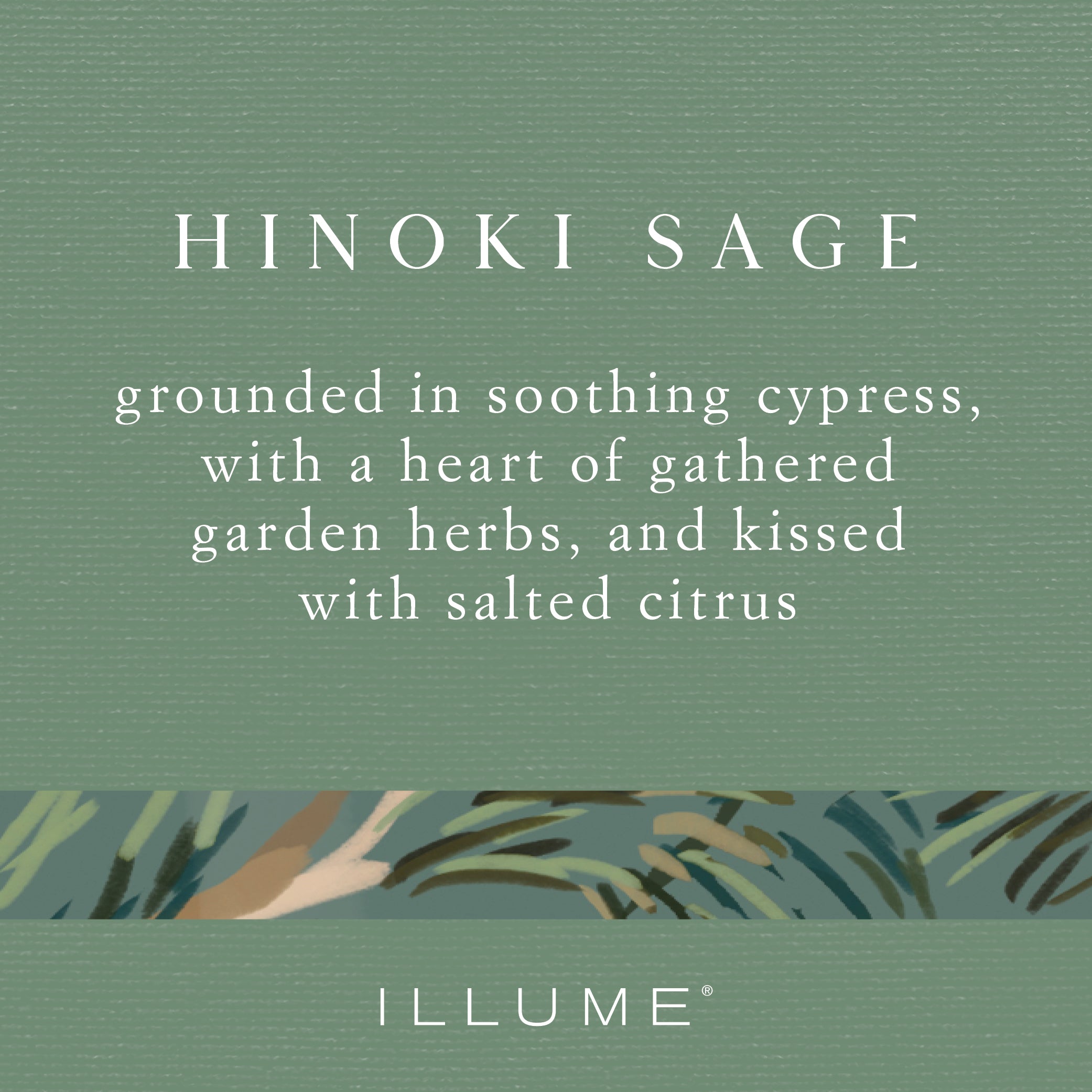 Premium Hinoki Sage Aromatherapy Diffuser Refill - Natural Essential Oil for Relaxation & Stress Relief - Perfect for Home, Office & Spa