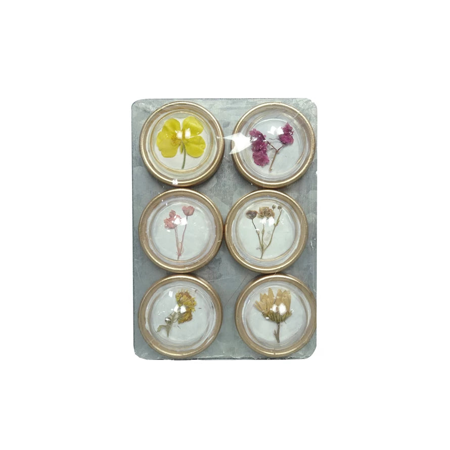 Botanical Magnet Set - 12 Pack Floral Fridge Magnets for Home, Office & Kitchen Decor - Perfect for Whiteboards, Refrigerators & Metal Surfaces