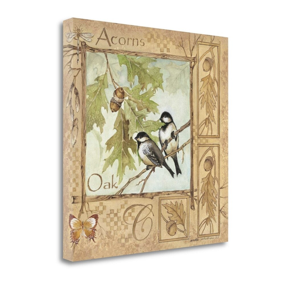 Acorns By Anita Phillips - Fine Art Giclee Print on Gallery Wrap Canvas, Ready to Hang Wall Decor - Perfect for Living Room, Bedroom & Office Artwork