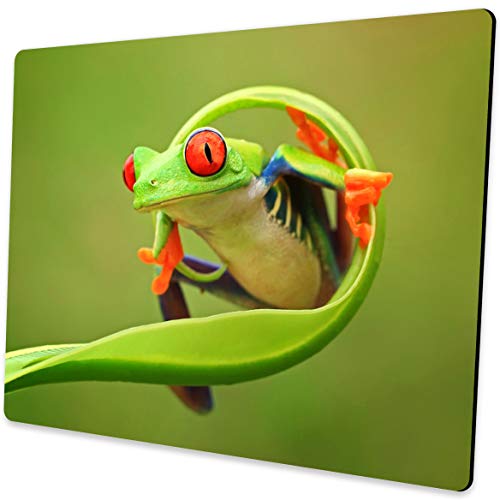 Cute Frog