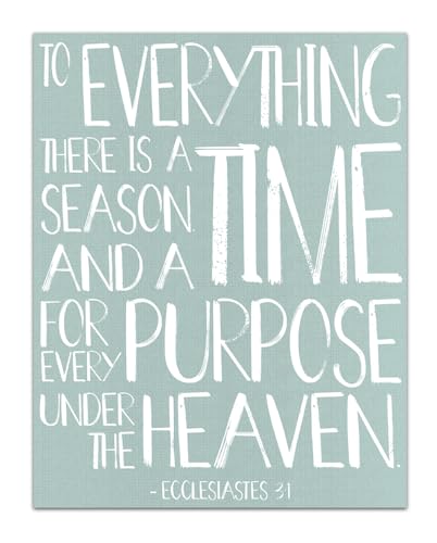 Foam , Ecc 3:1