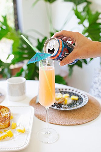 Hawaiian Luau Drinking Straws - Tropical Beach Jungle Pool Party Supplies, Summer Umbrella Parasol & Cocktail Decorations for Summer Parties, Weddings, and Tropical Themed Events