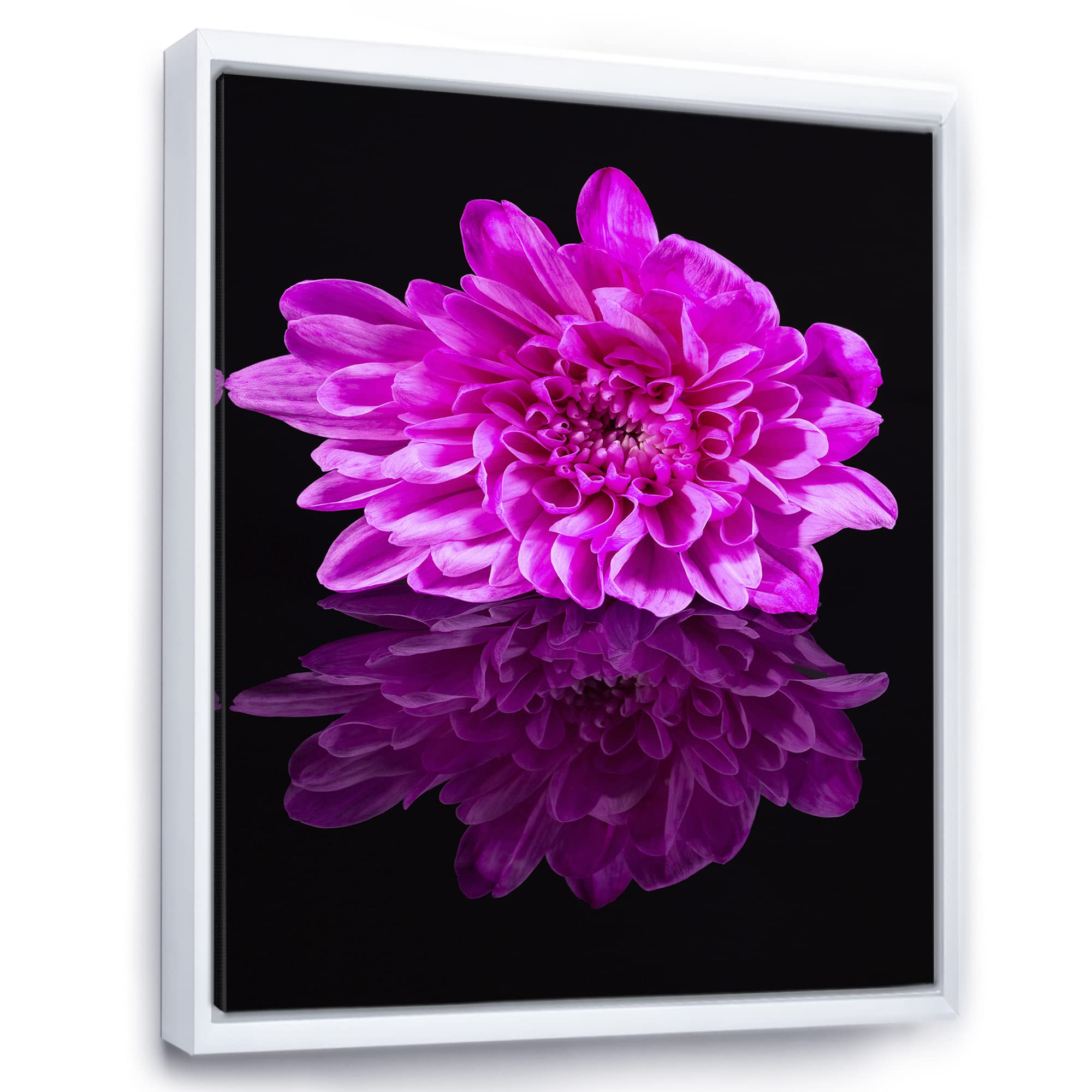 DesignQ Single Chrysanthemum Flower on Black Reflection - Traditional Framed Canvas Wall Art Print for Living Room, Bedroom & Office Decor