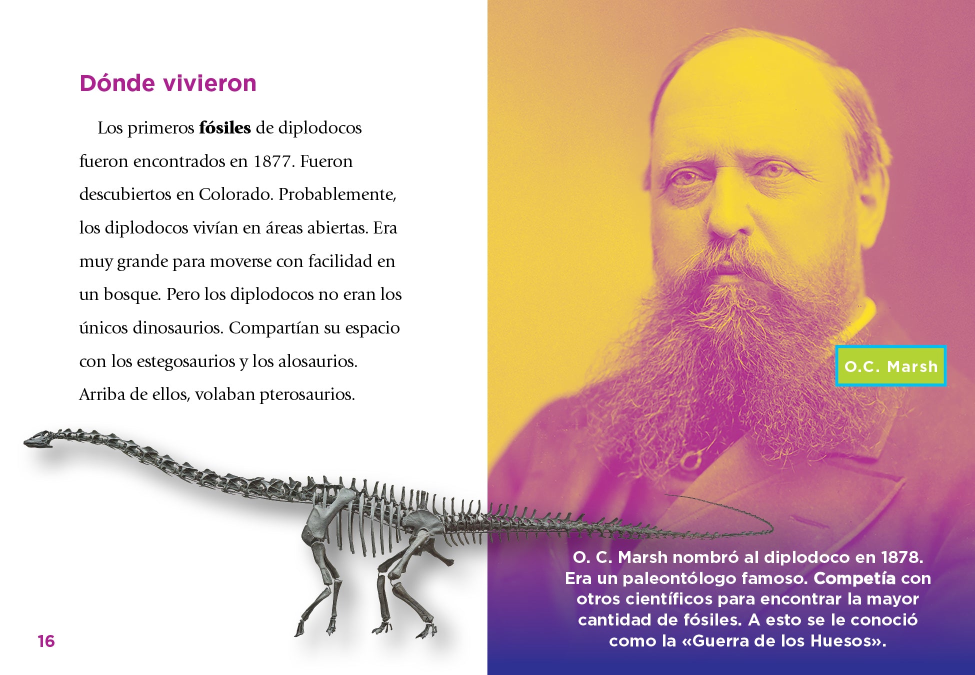Dinosaurs Book for Kids: El Diplodoco - Fun & Educational Dinosaur Facts (9781644666395) - Perfect for Bedtime Stories & Classroom Learning