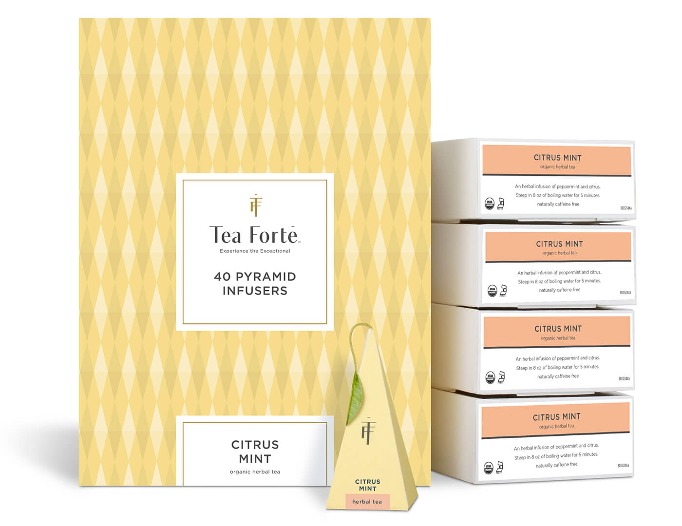 Event Box Citrus Mint Sugar-Free Chewing Gum - 40 Count Pack | Fresh Breath On-The-Go for Work, Travel & Social Events