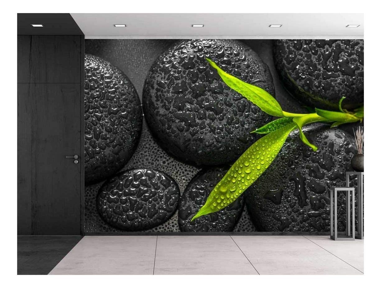 Wall26 - Rain Drops Over Black Rocks and Green Plant Wall Mural - 66x96 Inch Removable Peel & Stick Wallpaper - Nature Inspired Home Decor for Living Room, Bedroom, Office