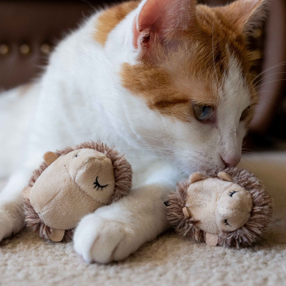 Forest Friends Hedgehog Cat Toy Set - Interactive Cat Toys for Indoor Play, Exercise & Fun - Perfect for Kittens & Adult Cats
