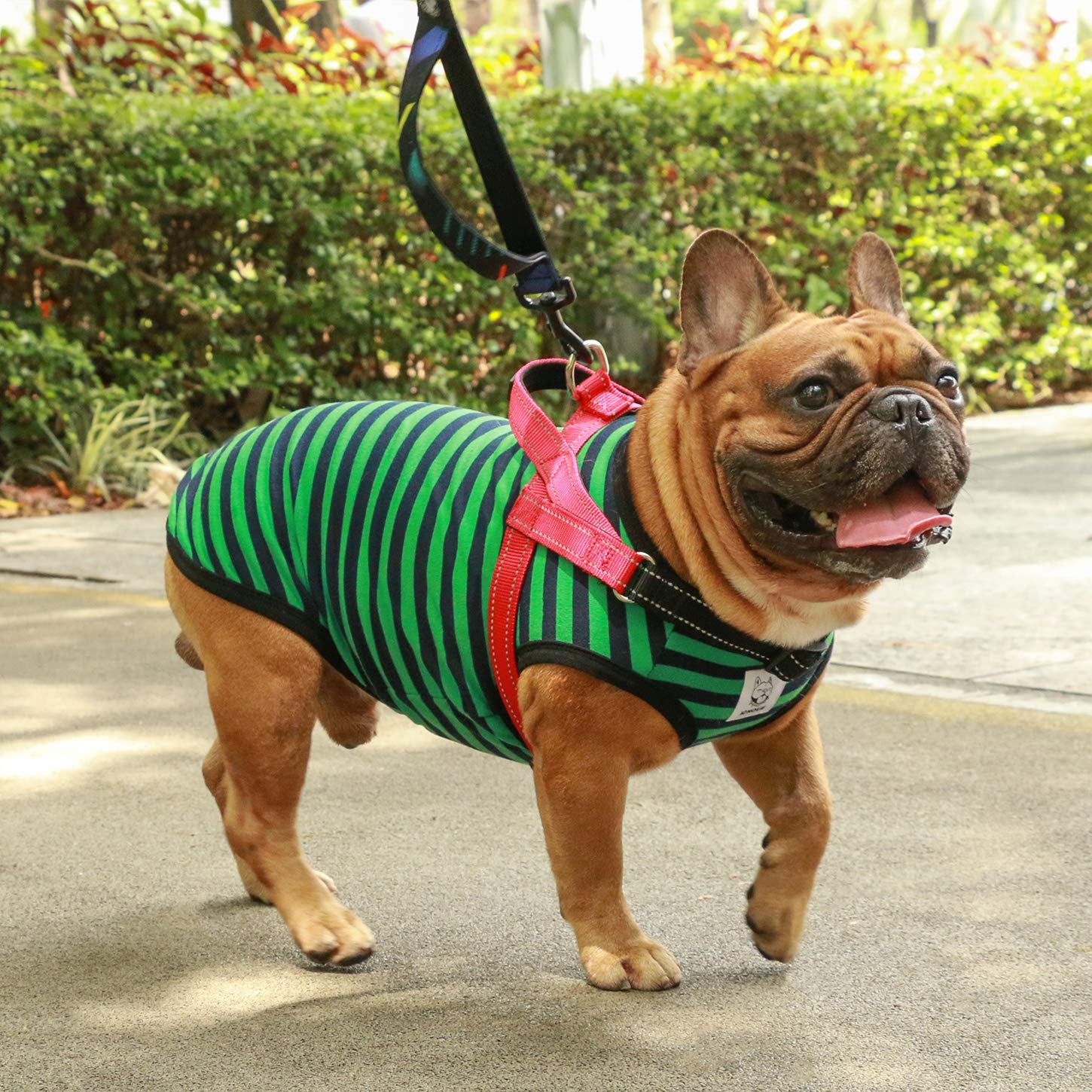 iChoue Adjustable Dog Harness - Easy On/Off Lightweight Pet Vest with Handle for Small & Medium Dogs | Perfect for Walking, Training & Outdoor Adventures (Red, Medium)