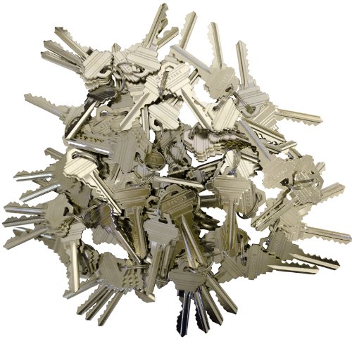 100 Pieces SC1/SC4 Schlage Compatible Precut Keys - 6 Pin Blank Keys (25 Sets of 4) for Home, Office & Commercial Door Locks - Replacement Keys for Schlage Deadbolts & Knobs