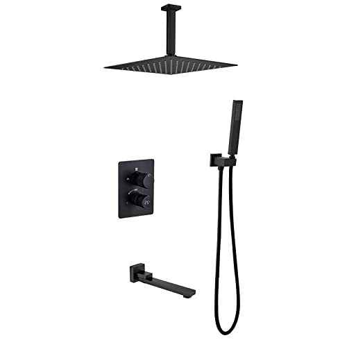 Ceiling Mount