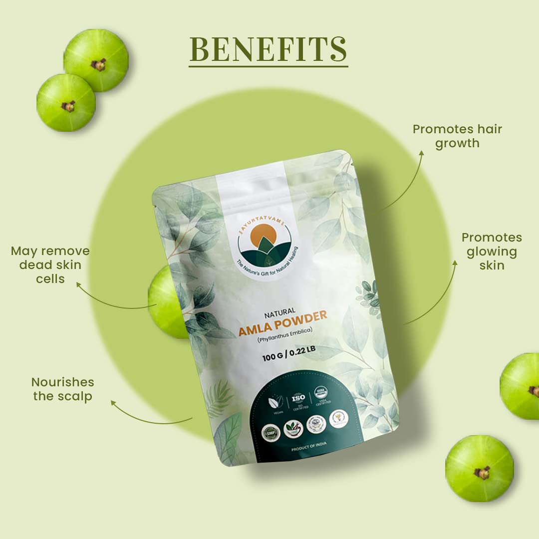 Ayurtatvam Natural Amla Powder 100g (Indian Gooseberry) - Organic Hair Growth & Skin Care Treatment | Reduces Hair Fall, Stimulates Growth & Exfoliates Dead Skin Cells | Perfect for DIY Hair Masks, Face Scrubs & Ayurvedic Beauty Routines