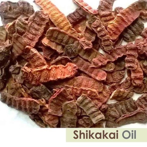100% Pure Natural SHIKAKAI Oil - Undiluted & Uncut (169.07 Fl oz) for Hair Growth, Scalp Care & Ayurvedic Treatments - Perfect for DIY Hair Masks, Natural Shampoo & Holistic Hair Care