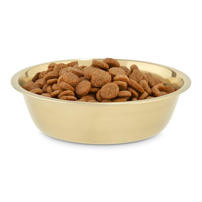 EveryYay Gold Stainless Steel Dog Bowl - 1.75 Cup Capacity, Non-Slip Pet Food & Water Dish for Small to Medium Dogs - Perfect for Home, Travel & Outdoor Use