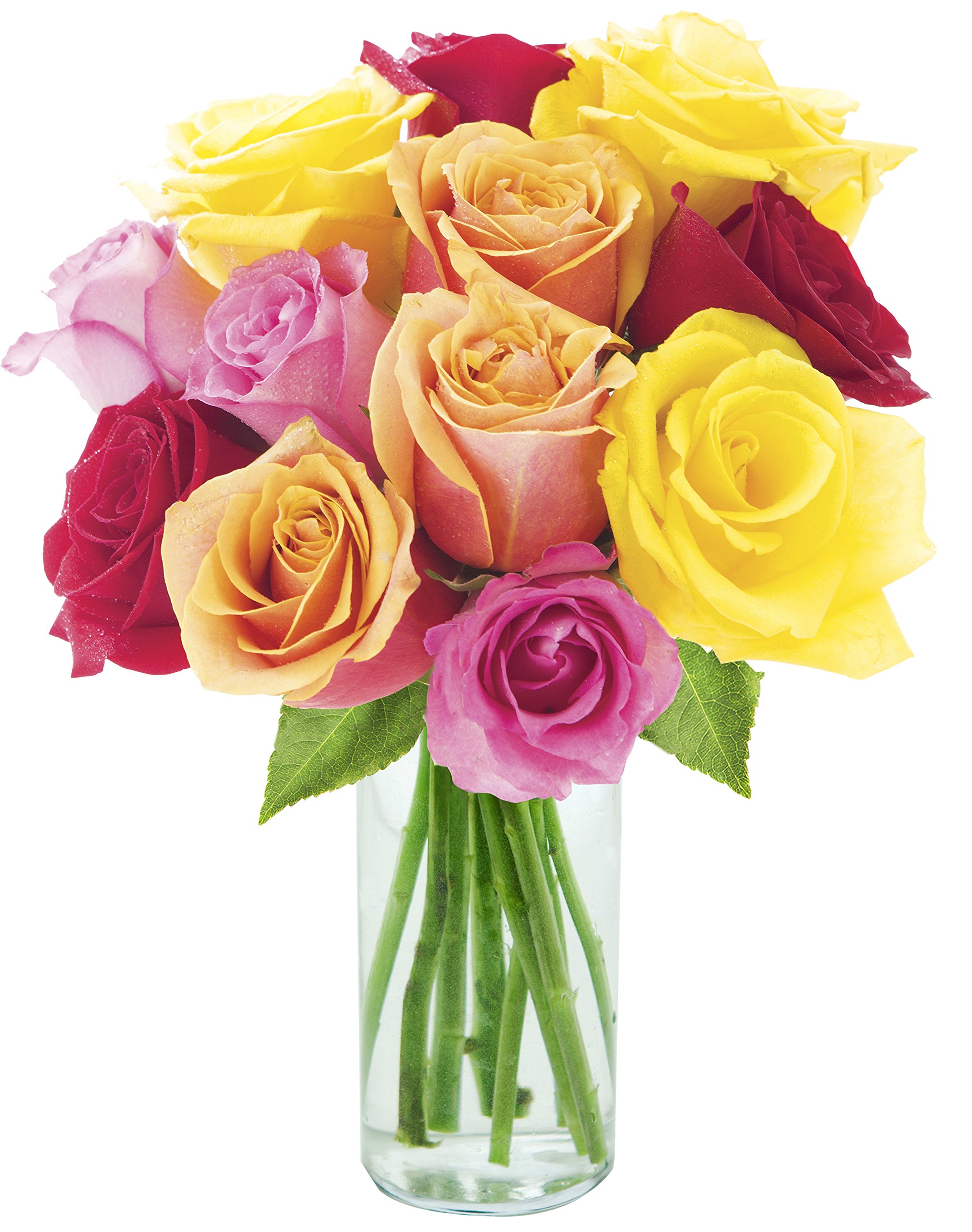 KaBloom Fresh Sunset Serenade Roses (12 Stems) with Glass Vase - Next Day Delivery | Perfect Gift for Mother's Day, Valentine's Day, Birthday & Thank You | Elegant Home Decor, Wedding Centerpiece & Romantic Surprise