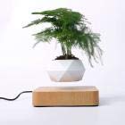 CAIJI Magnetic Levitating Plant Pot - Air Floating Spinning Magnetic Suspension Planter for Air Plants - Perfect for Home Decor, Office Desk & Gift Giving