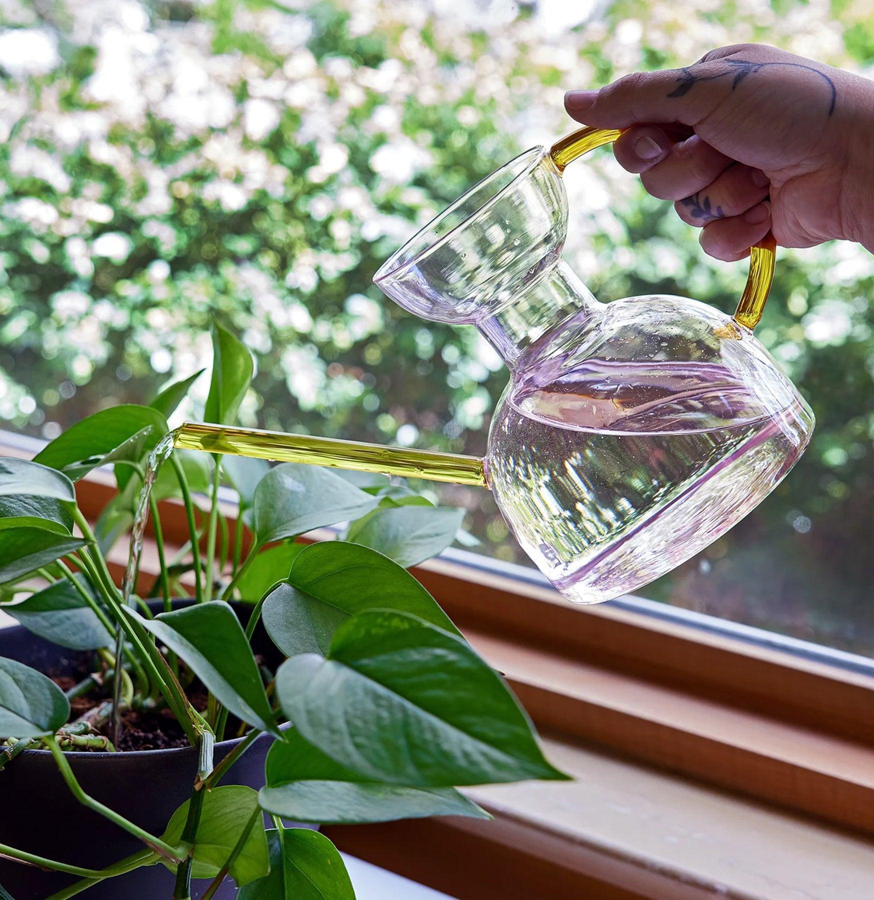 Premium Glass Watering Can for Plants - 1L Elegant Indoor Plant Watering Pot with Long Spout - Perfect for Houseplants, Succulents, and Home Gardening Gifts