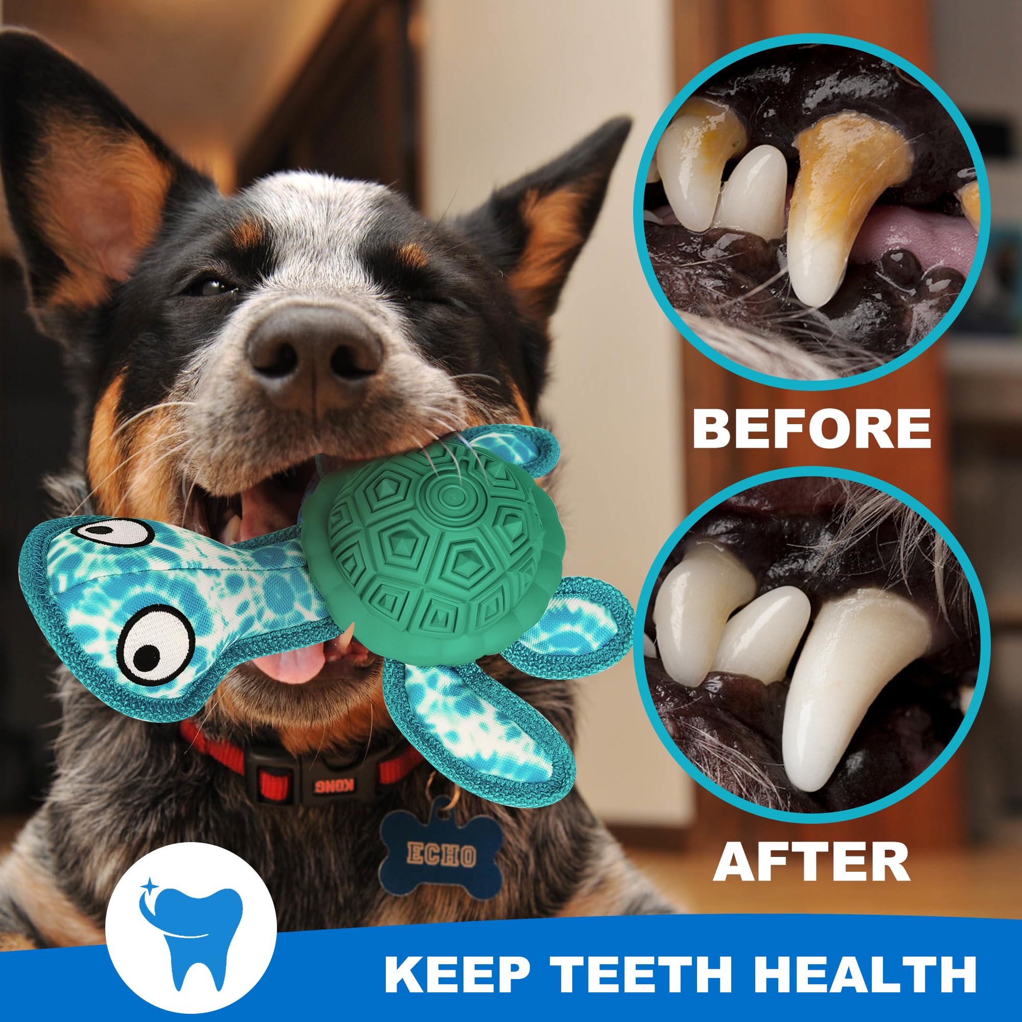 Durable Rubber Dog Chew Toys for Puppies - Turtle Shaped Teething Toy with 2 Tennis Balls (Green) - Perfect for Small & Medium Dogs, Puppy Teething Relief & Interactive Playtime