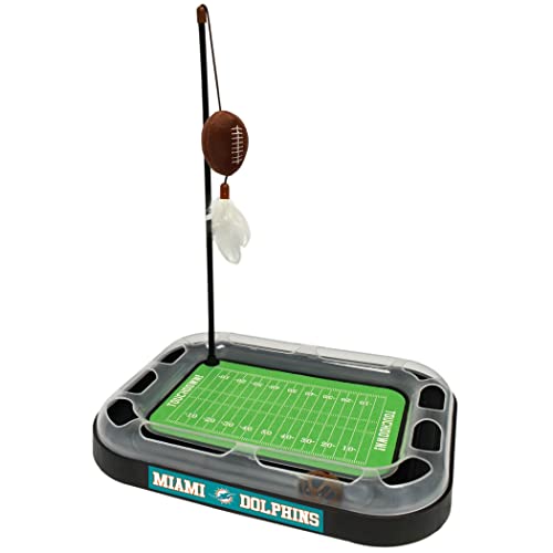 Miami Dolphins