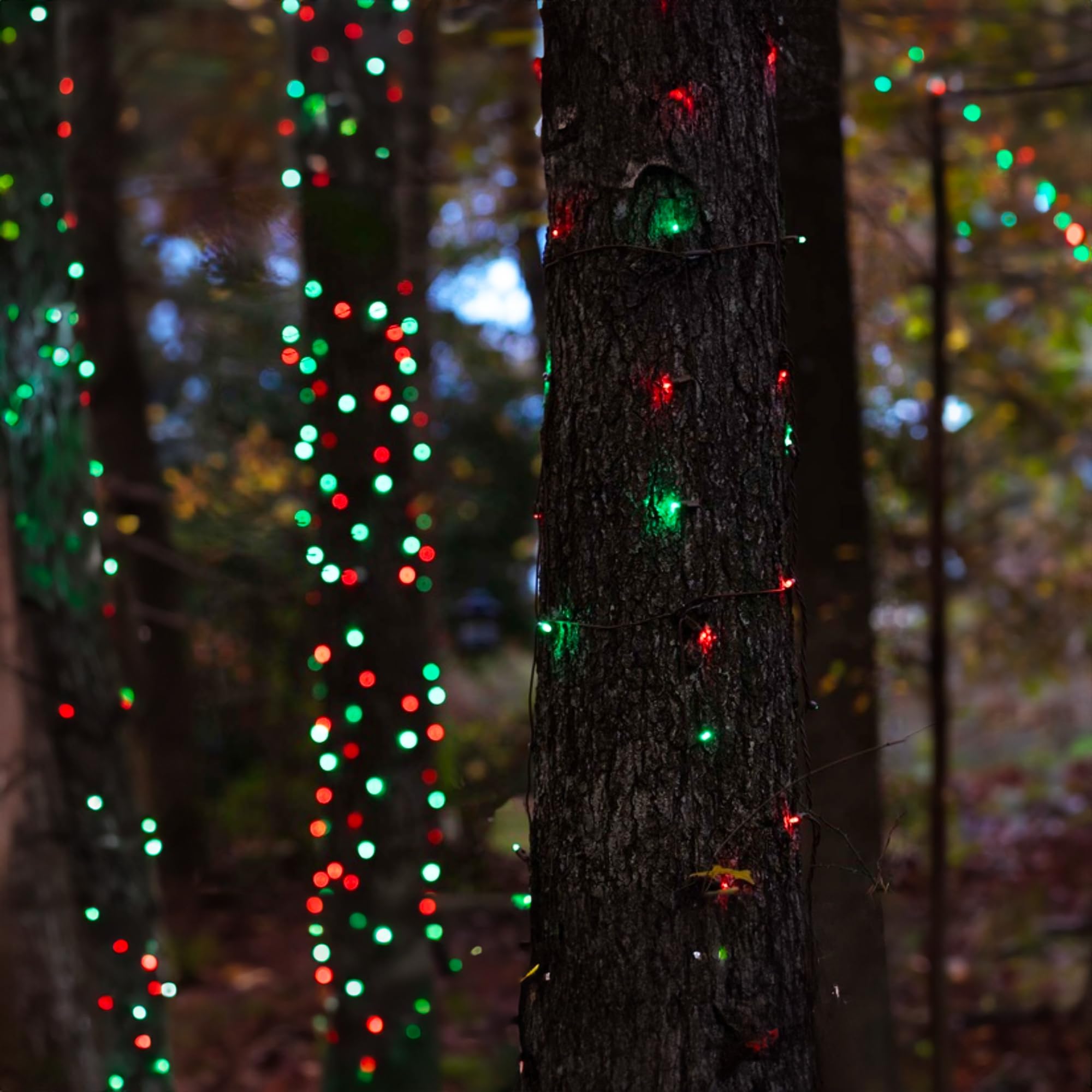 TW SHINE 20FT 100-Count Christmas Mini String Lights - Waterproof Incandescent Xmas Lights for Indoor/Outdoor Decor - Perfect for Christmas Trees, Home, Party & Yard Decorations (Red & Green)