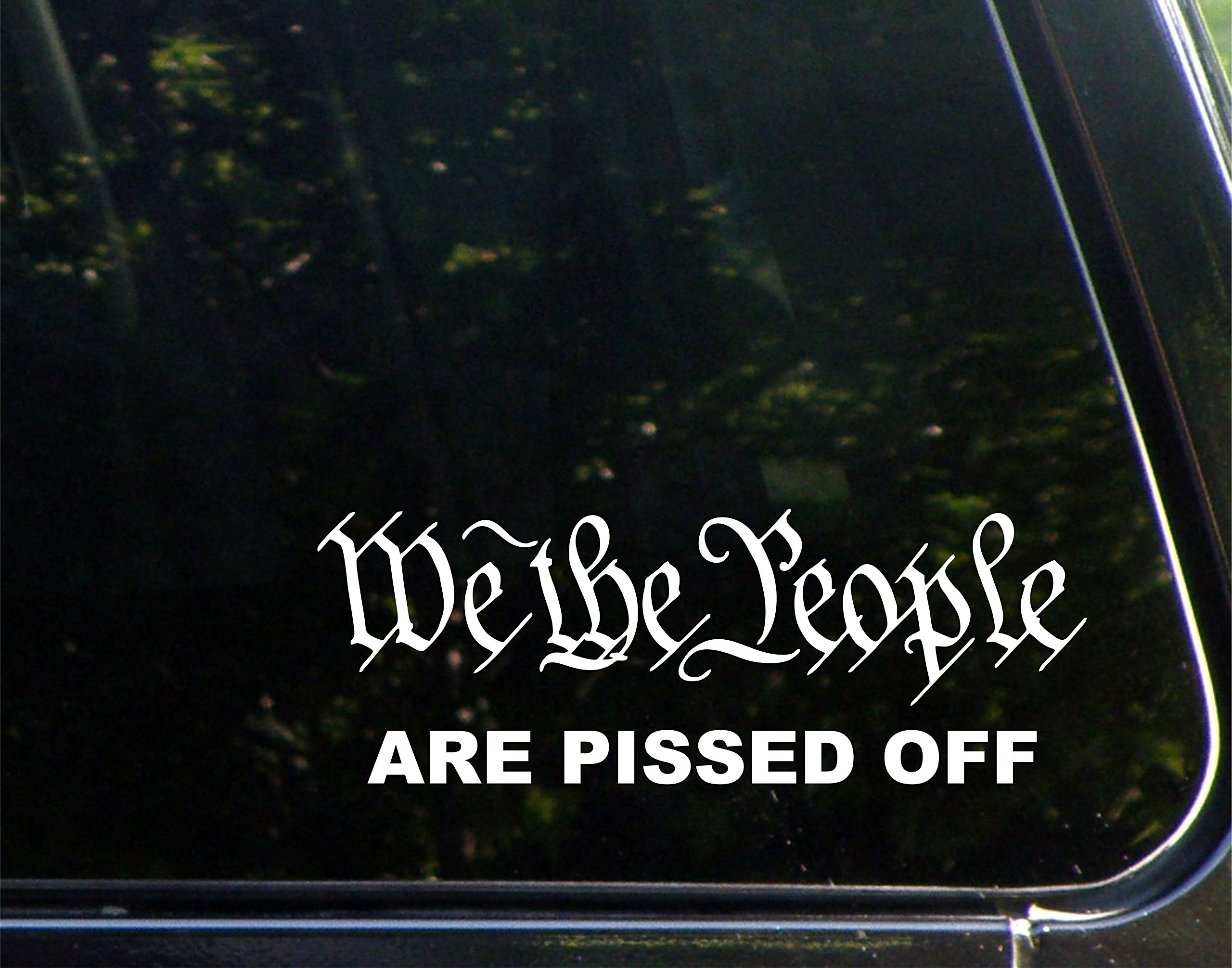 We The People Are Pissed Off