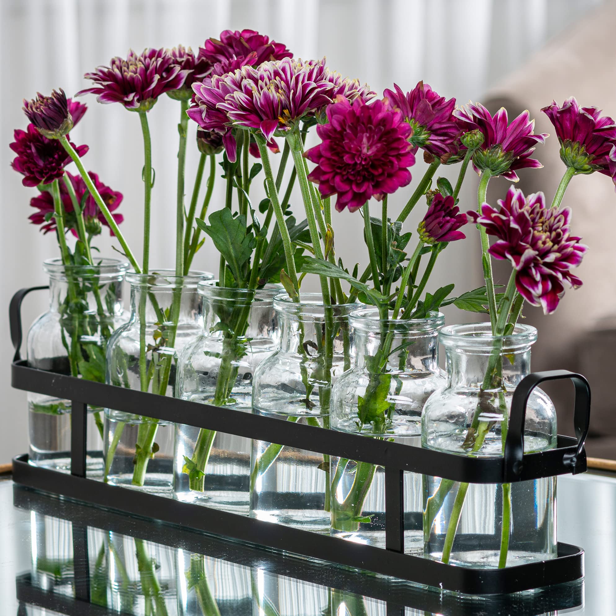 6-Piece Glass Flower Vase Set with Metal Holder - Modern Home Decor for Wedding, Table, Kitchen, Bathroom & Bedroom - Perfect for Flower Arrangements & Shelf Decor (Ideal for Centerpieces, Gift Giving & Interior Design Styling)