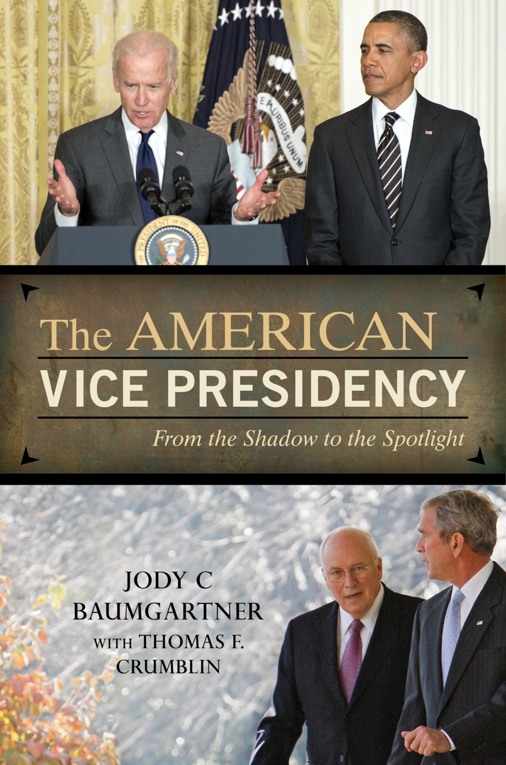 The American Vice Presidency: From the Shadow to the Spotlight - History, Role & Influence in US Politics | Perfect for Political Science Students & History Enthusiasts