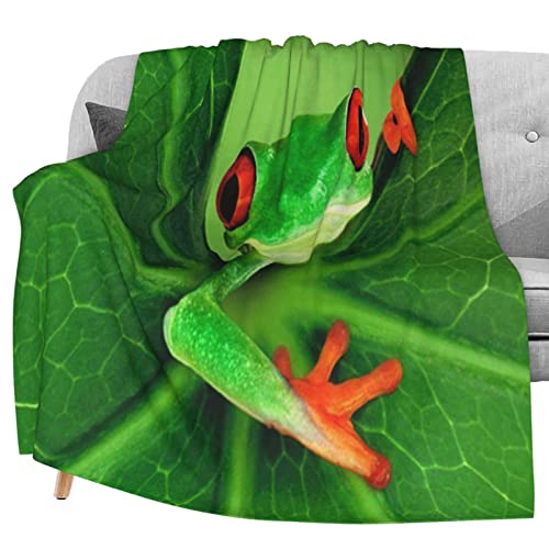 3d Frog