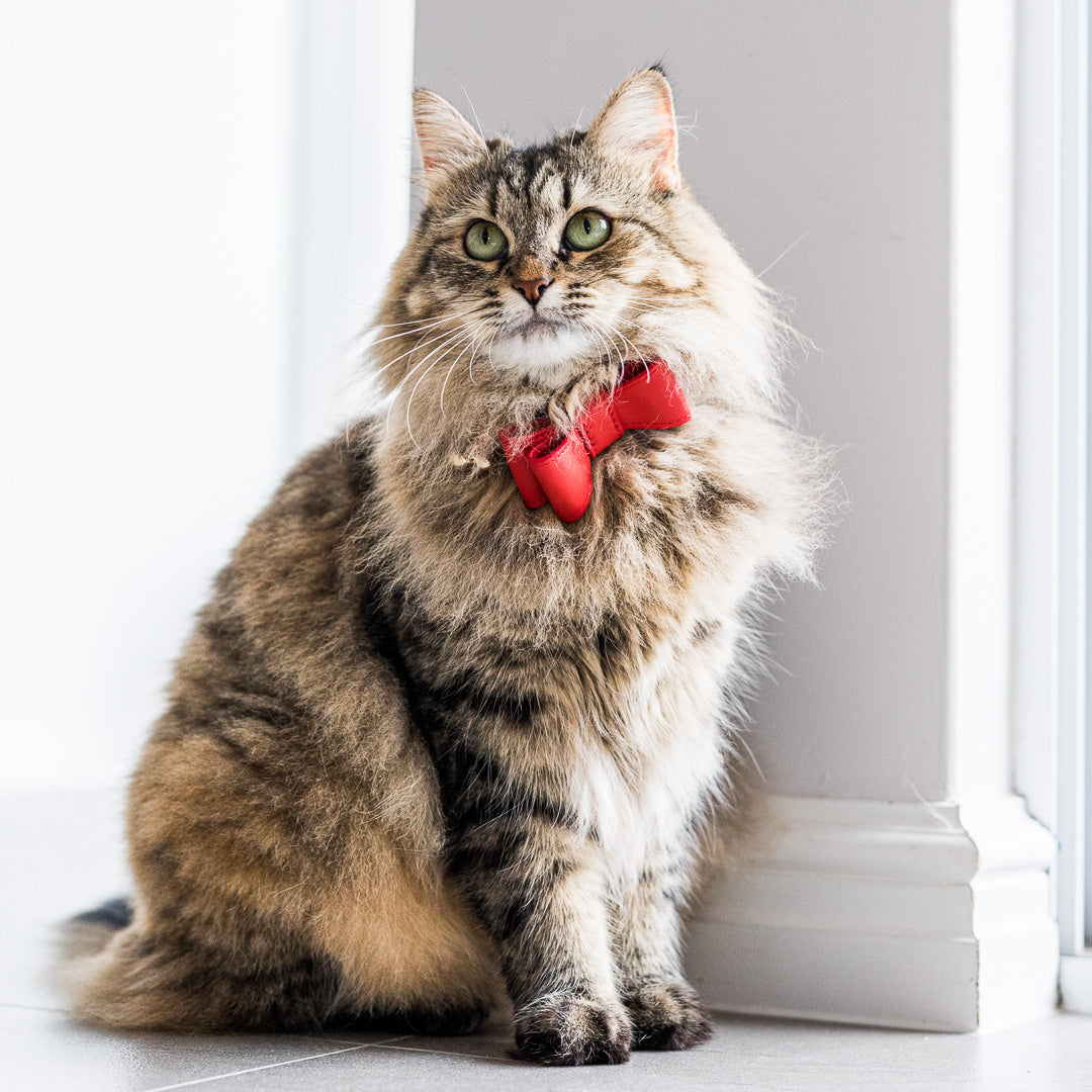 Stylish Red Leather Cat Bow Tie - Adjustable & Comfortable Pet Accessory for Special Occasions & Photos