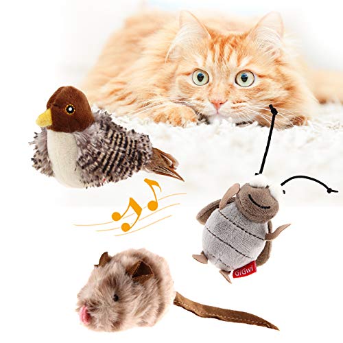 Bird+Mouse+Cricket