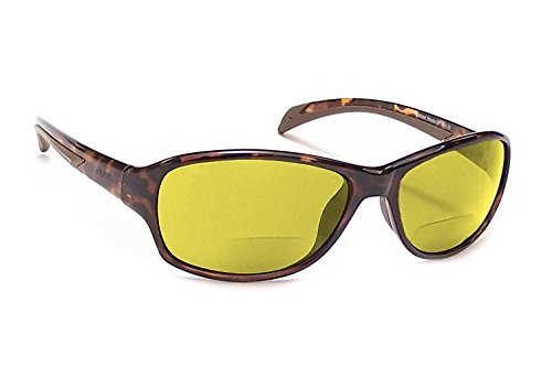 Tortoise & Yellow
