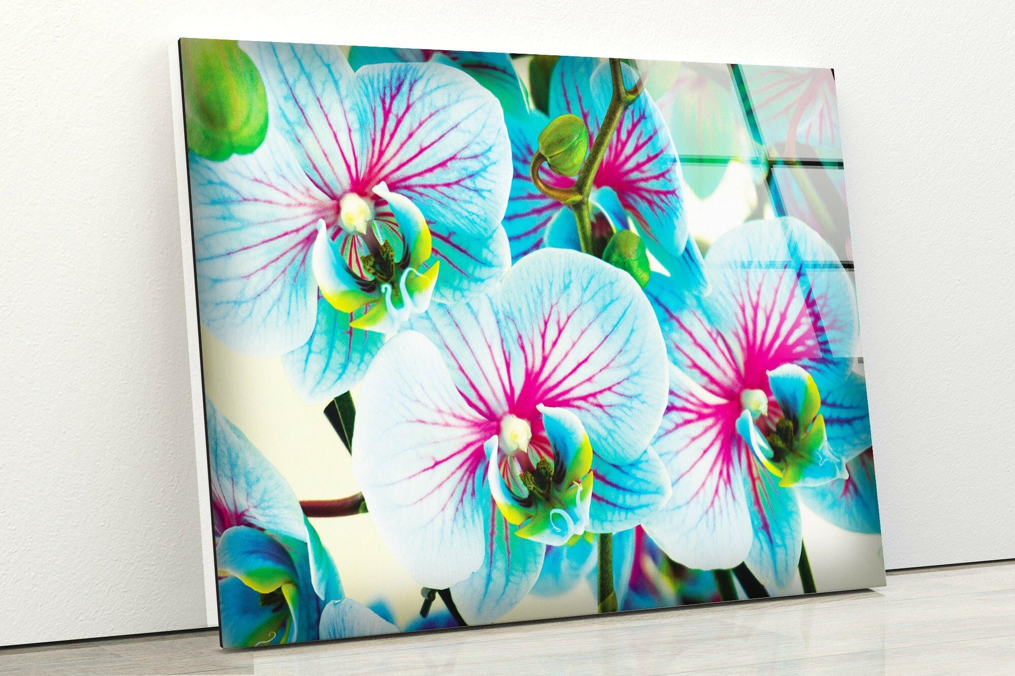 Blue & Pink Orchids Glass Wall Art - Elegant Floral Decor for Living Room, Bedroom & Office