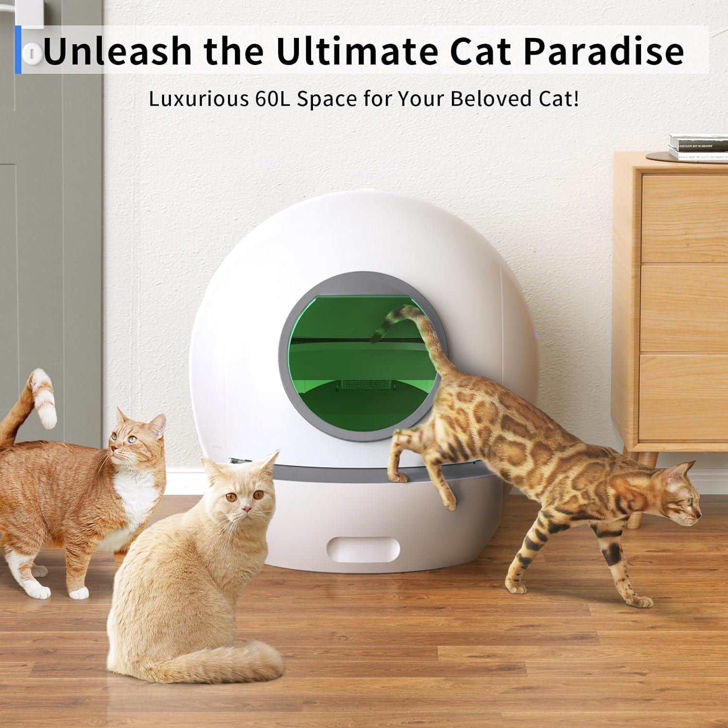 Self-Cleaning Cat Litter Box for Multiple Cats - Automatic Odor Control with Smart App Monitoring, Includes 2 Pack Litter - Hands-Free White Litter Box for Home & Office Use