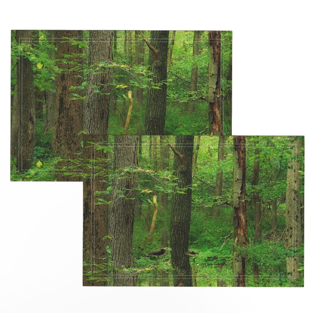 Spoonflower Linen Cotton Canvas Placemats Set of 2 - Forest Trees Woodland Print Table Mats for Dining, Kitchen Decor, and Holiday Dinner Parties - Birch Green Emerald Design Washable Fabric Place Settings