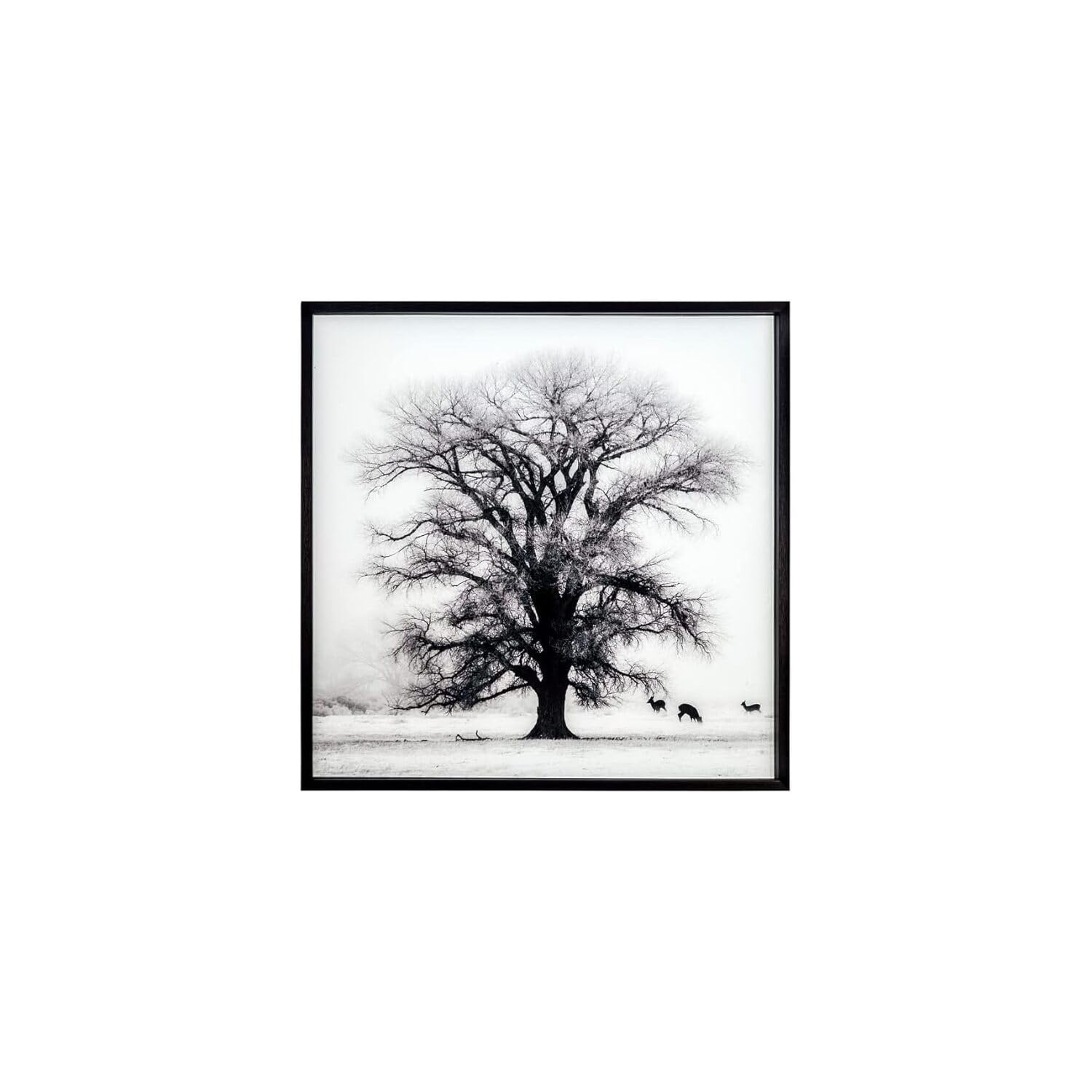 Yosemite Home Decor Winter Morning Fog II Wall Art - Stunning Landscape Print for Living Room, Bedroom & Office Decor