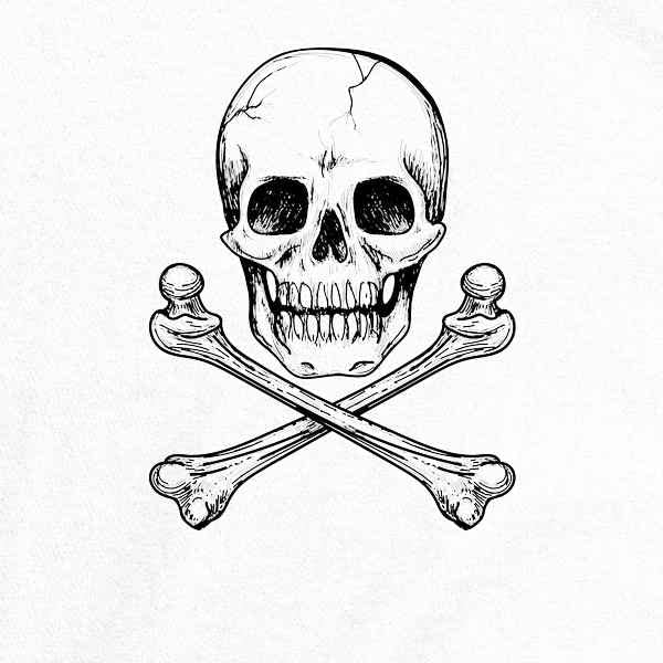 Pop Threads Skull & Crossbones Poison Retro Horror Halloween Long Sleeve T-Shirt for Men & Women - Perfect for Halloween Costumes, Horror Parties & Gothic Fashion