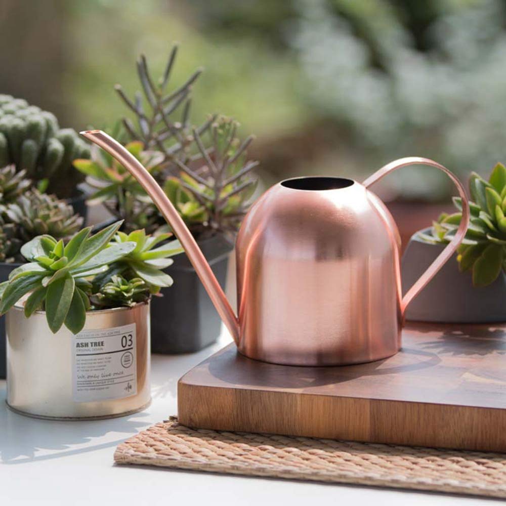Rose Gold Watering Can - Mini Metal Watering Pot with Long Spout for Indoor & Outdoor Plants | Perfect for Houseplants, Succulents, Balcony Gardens and Flower Beds