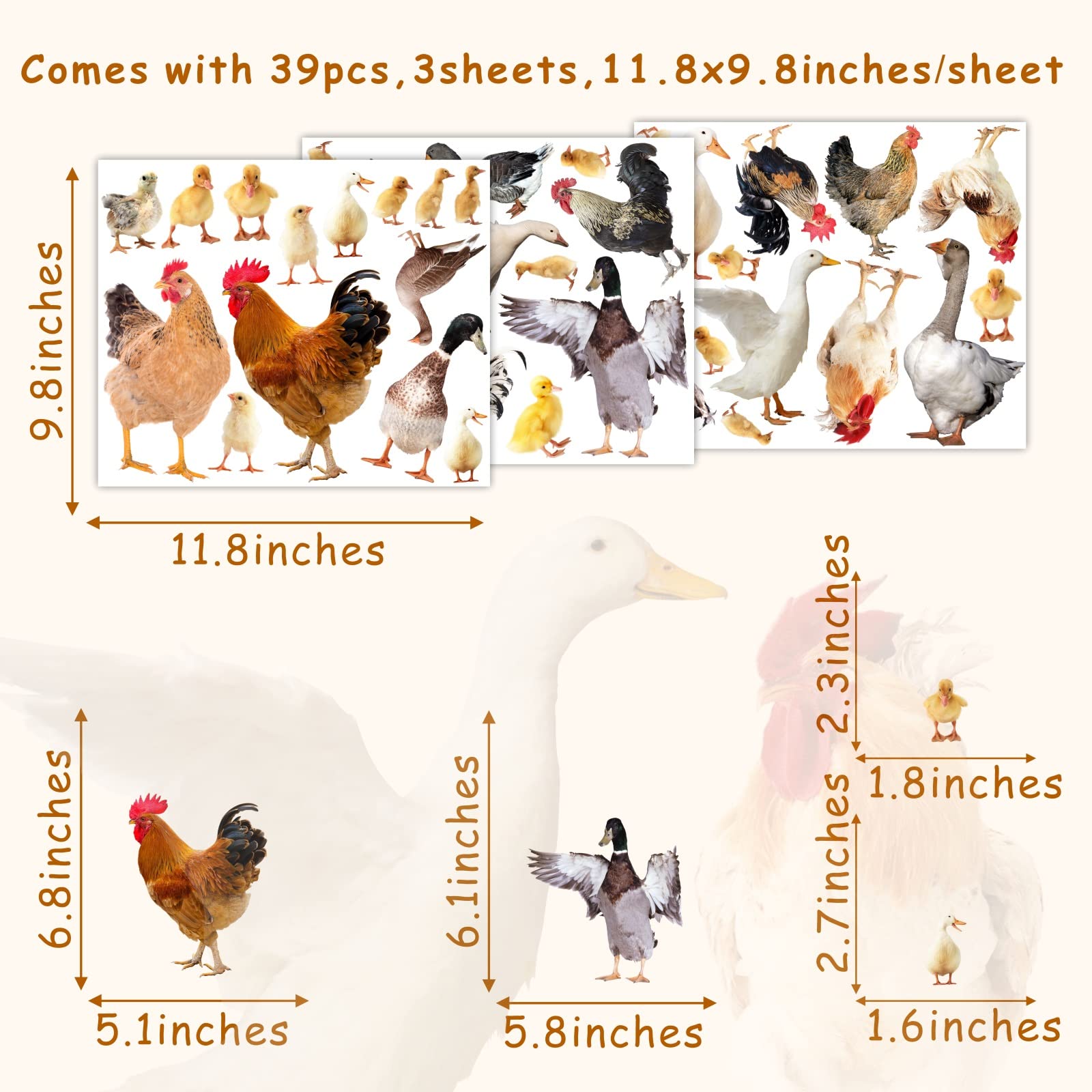 Funny Peel and Stick Chicken Rooster Wall Decals - Farm Animal Kitchen Wall Stickers for Cabinets, Doors & Windows - Cute Farmhouse Decor for Home, Nursery & Office