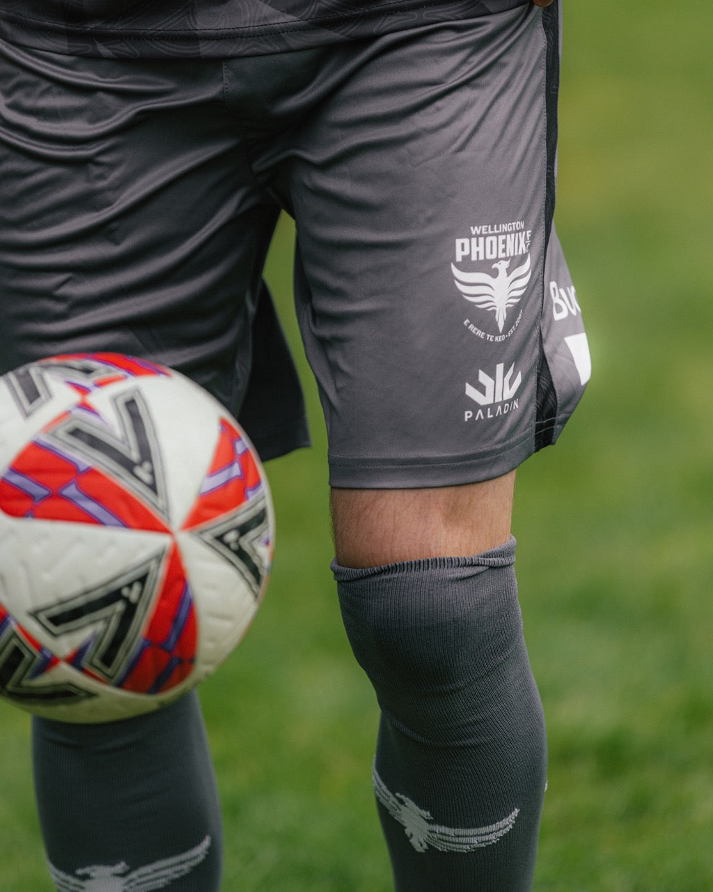 Wellington Phoenix A-League Men's Away Shorts 2024/25 - Youth Replica Soccer Uniform for Training & Match Play