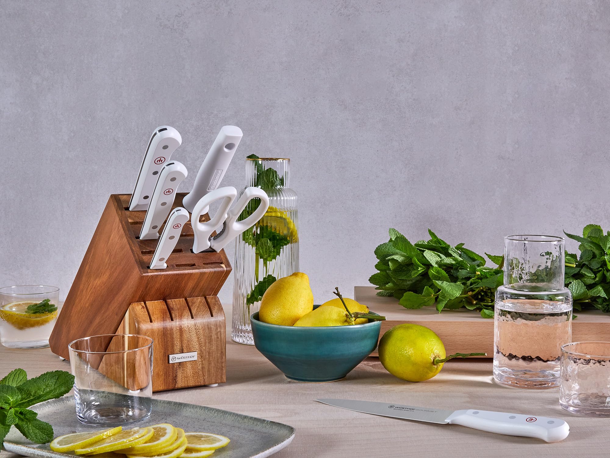 WÜSTHOF Gourmet 9-Piece White Steak Knife Set with In-Drawer Storage - Premium German Stainless Steel Knives for Steak Dinners, BBQ Parties & Fine Dining