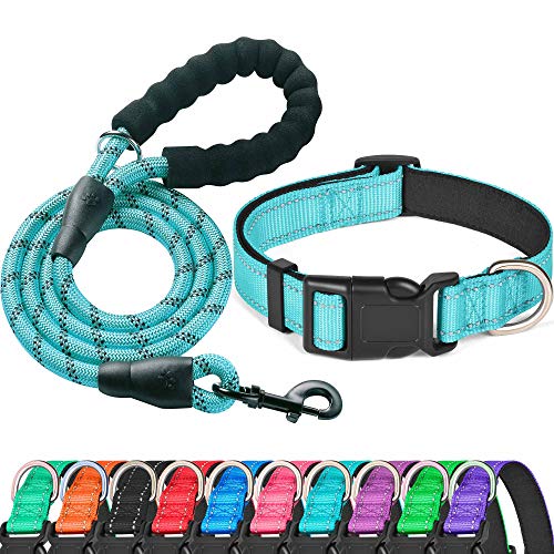 Blue Collar+Leash