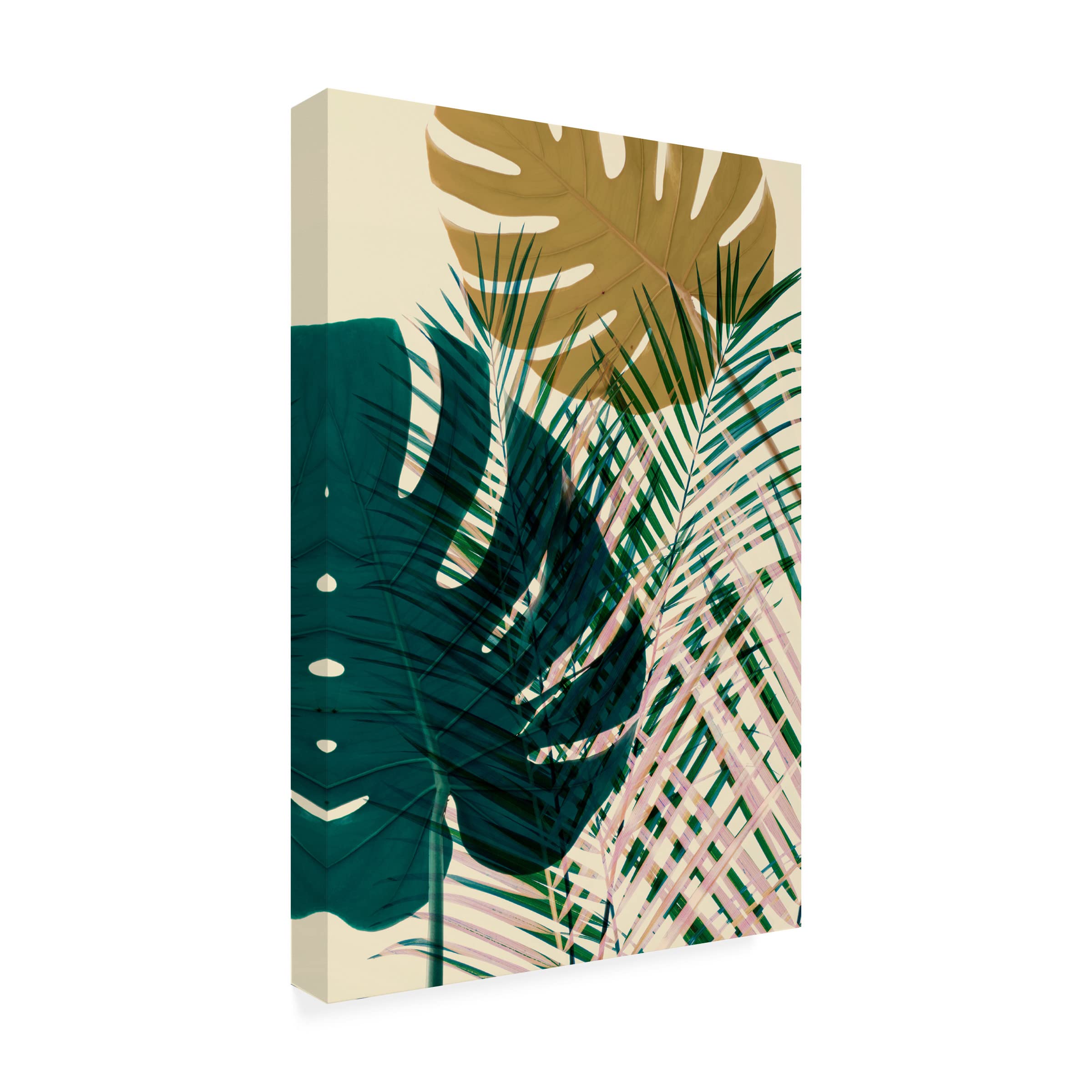 Trademark Fine Art 'Exposure 5' Canvas Wall Art by Ian Winstanley - Modern Abstract Painting for Living Room, Bedroom & Office Decor