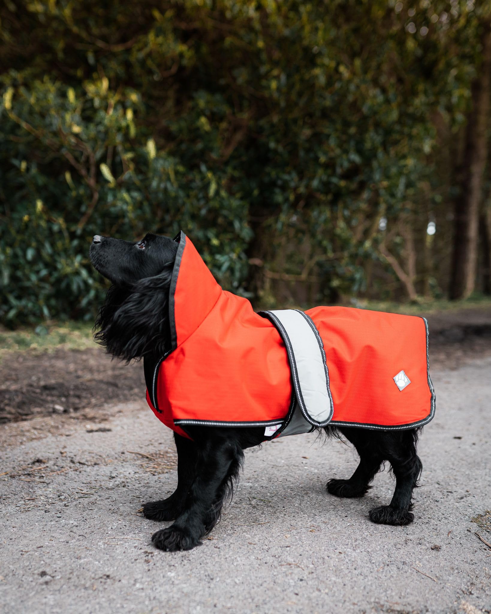 2 in 1 Reflective Dog Coat with Orange Dots - 28 Inch Waterproof Winter Jacket for Medium Dogs - Perfect for Night Walks & Cold Weather Protection