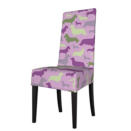Dachshunds on Purple
